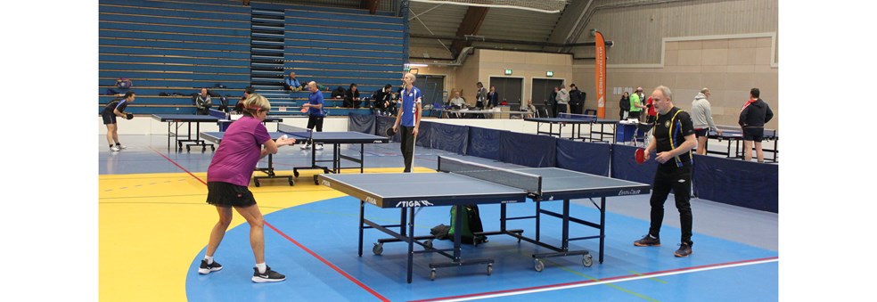 NM Bordtennis Bedrift, Telemarkslekene 2025