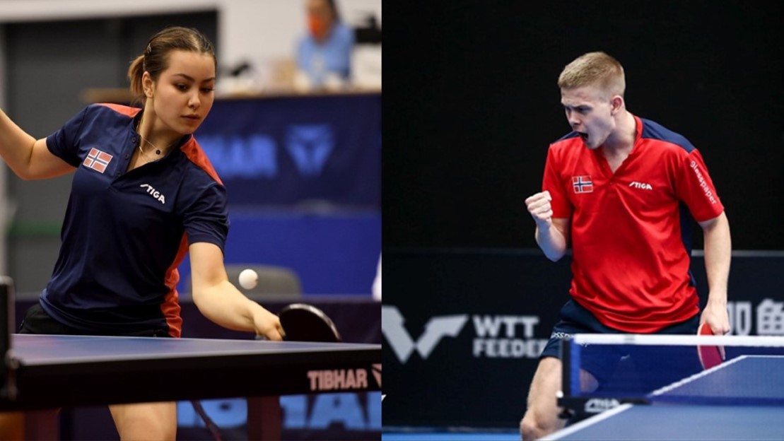 WTT Feeder Vila Nova de Gaia (Portugal)